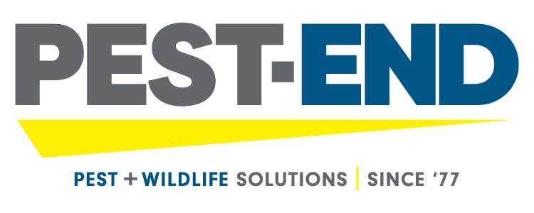 Pest End logo
